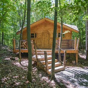 Log Cabin